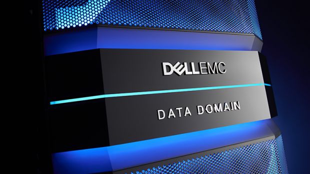 how to solve emc data domain service not available problem